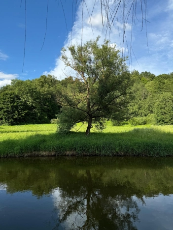 Купить трехкомнатную квартиру у метро Пятницкое шоссе в Химках. Вариант № 41639, 30, площадь -  квм, цена 46500000 рублей