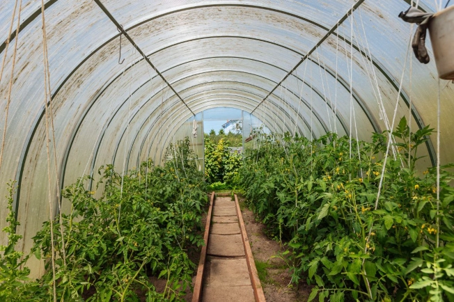 Купить дом на улице Полецкого в Калининграде. Вариант № 59302, 30, площадь -  квм, цена 12500000 рублей