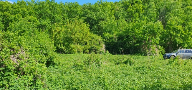 Купить земельный участок в Воронеже. Вариант № 11558, 2, площадь -  квм, цена 1350000 рублей