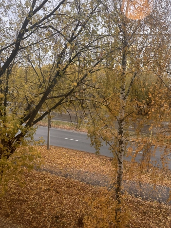 . Вариант № 8021028, 4, площадь - 39 квм, цена 3300000 рублей