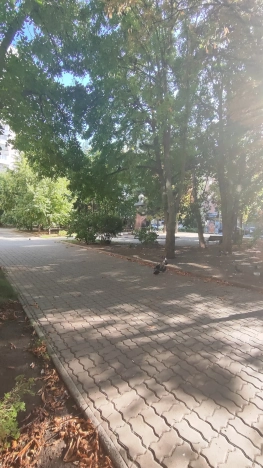 Купить трехкомнатную квартиру в районе Кировский в Ростове-на-Дону. Вариант № 914421, 14, площадь -  квм, цена 7800000 рублей