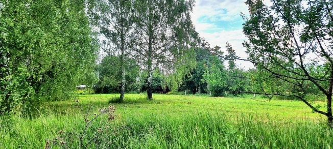 Купить земельный участок в Воронеже. Вариант № 52716, 2, площадь -  квм, цена 2415000 рублей