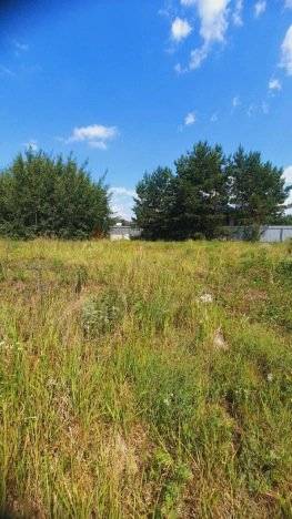 Купить земельный участок в Воронеже. Вариант № 273992, 8, площадь -  квм, цена 4200000 рублей