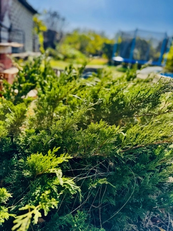 Купить дачу в Белгородской области. Вариант № 6807187, 28, площадь -  квм, цена 1750000 рублей