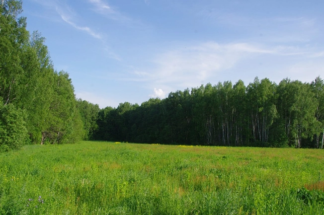 Купить земельный участок в Тульской области. Вариант № 1854, 2, площадь -  квм, цена 600000 рублей