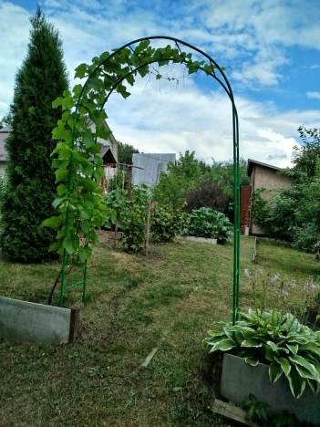 Купить дачу в Московской области. Вариант № 6182443, 16, площадь -  квм, цена 1980000 рублей