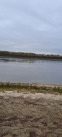 Купить дом на улице Совхозная в Тюменской области. Вариант № 8447472, 3, площадь -  квм, цена 800000 рублей