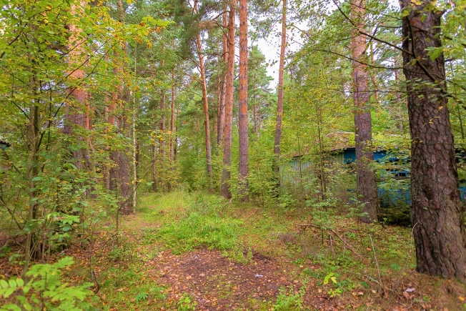 Купить земельный участок в Владимире. Вариант № 1435, 6, площадь -  квм, цена 11500000 рублей