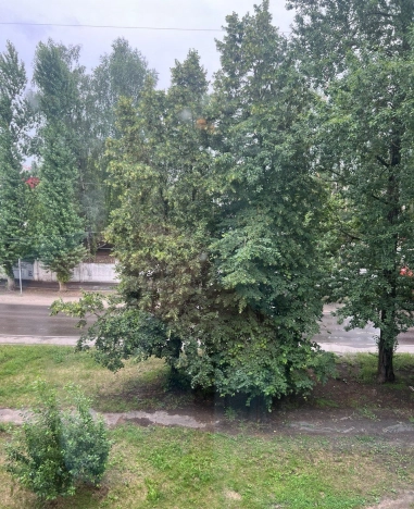 Купить однокомнатную квартиру на улице Школьная в Калужской области. Вариант № 11571, 9, площадь -  квм, цена 2200000 рублей