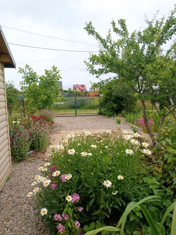 Купить дом в Зеленоградске. Вариант № 60949, 10, площадь -  квм, цена 5500000 рублей