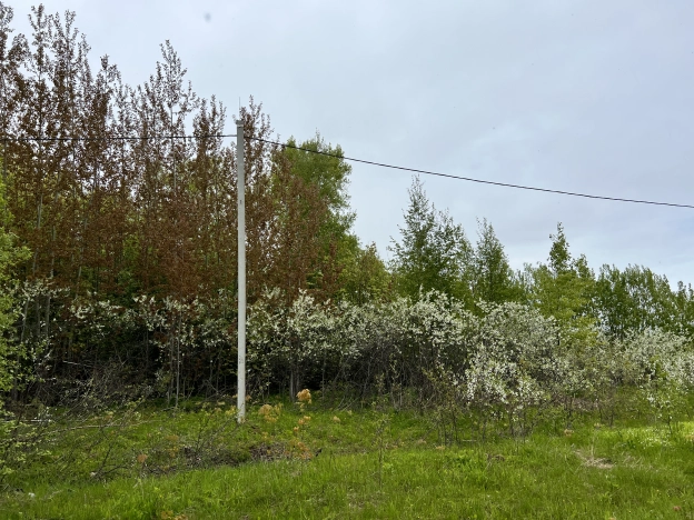 Купить земельный участок в Владимире. Вариант № 1025, 2, площадь -  квм, цена 333000 рублей