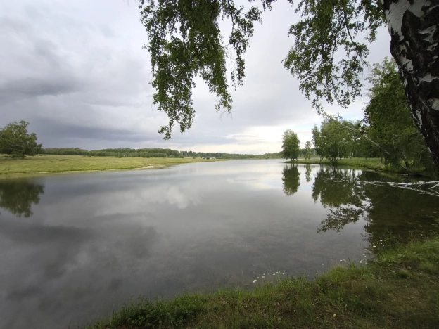 Купить земельный участок в Новосибирске. Вариант № 58749, 15, площадь -  квм, цена 1750000 рублей