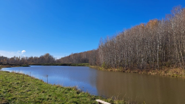 Купить земельный участок в Новосибирске. Вариант № 5922136, 15, площадь -  квм, цена 1450000 рублей