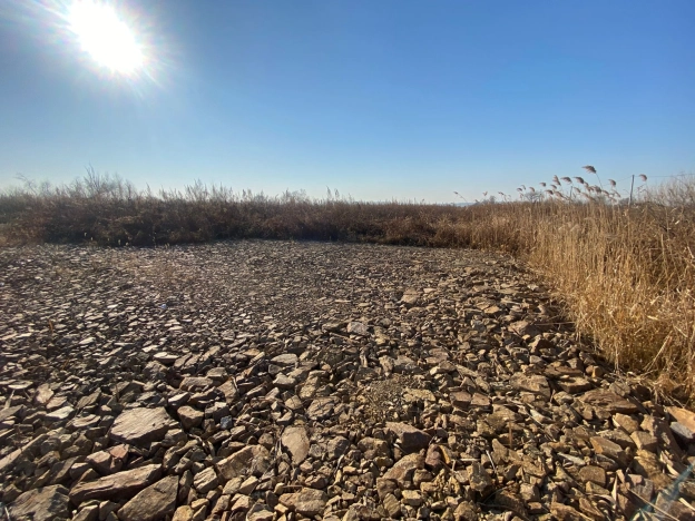 Купить земельный участок в Уссурийске. Вариант № 9316865, 2, площадь -  квм, цена 1700000 рублей