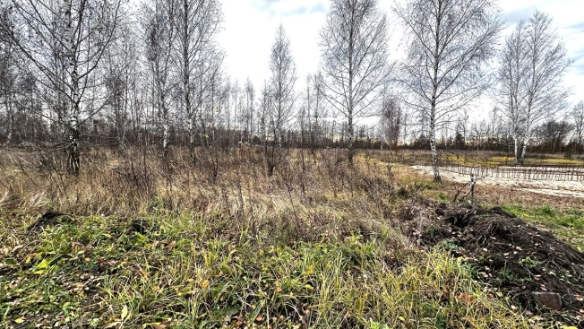 Купить земельный участок в Липецкой области. Вариант № 9119495, 3, площадь -  квм, цена 690000 рублей