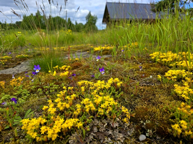 Купить дачу в Республике Карелия. Вариант № 2326, 1, площадь -  квм, цена 1490000 рублей