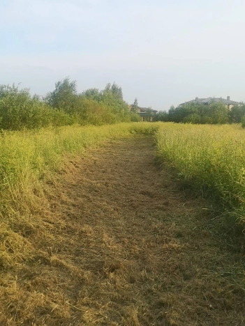 Купить земельный участок в Санкт-Петербурге. Вариант № 807759, 4, площадь -  квм, цена 7000000 рублей