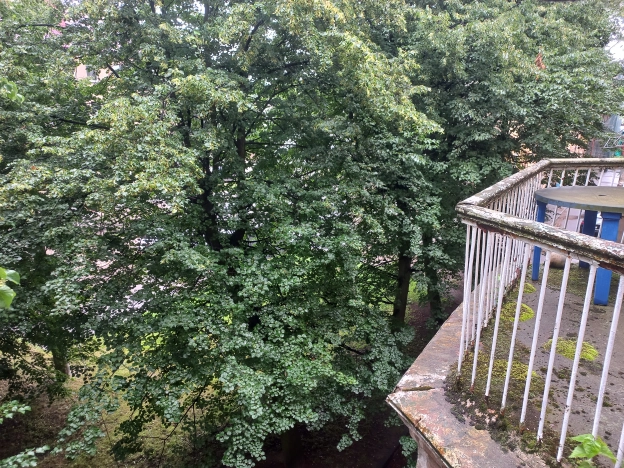 Купить комнату в Калининграде. Вариант № 762864, 4, площадь -  квм, цена 1550000 рублей