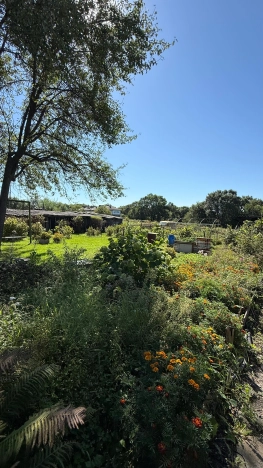 Купить дом в Приморском крае. Вариант № 4858066, 7, площадь -  квм, цена 3500000 рублей