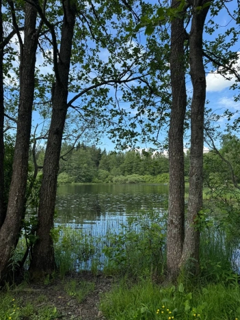 Купить земельный участок у метро Рыбацкое в Ленинградской области. Вариант № 8549, 3, площадь -  квм, цена 5000000 рублей