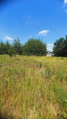 Купить земельный участок в Воронеже. Вариант № 273992, 0, площадь -  квм, цена 4200000 рублей