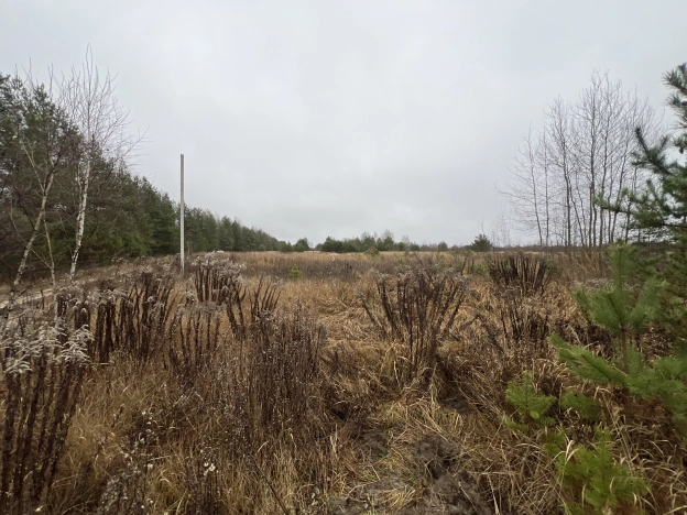 Купить земельный участок в Владимире. Вариант № 8923449, 12, площадь -  квм, цена 550000 рублей