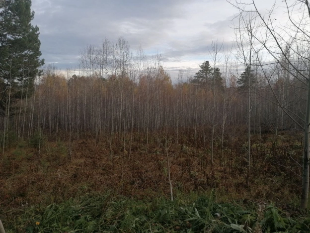 Купить земельный участок в Иркутске. Вариант № 2921558, 6, площадь -  квм, цена 1000000 рублей