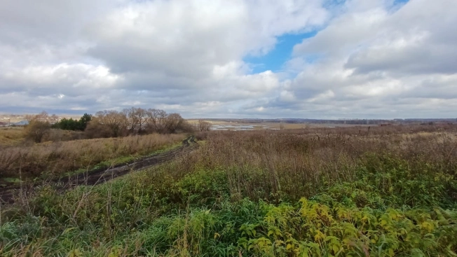 Купить земельный участок в Тульской области. Вариант № 8381509, 3, площадь -  квм, цена 900000 рублей