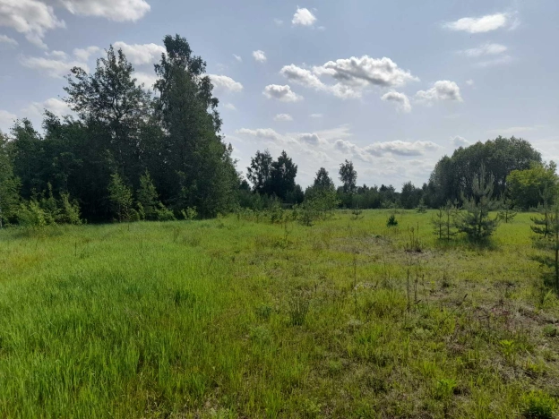 Купить земельный участок в Коврове. Вариант № 1313231, 1, площадь -  квм, цена 950000 рублей