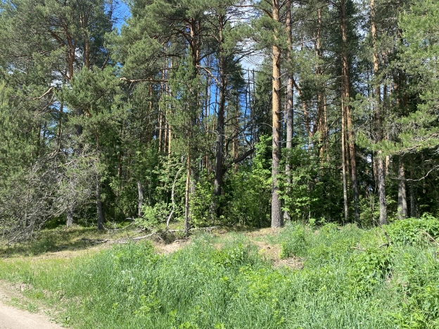 Купить земельный участок в Вологодской области. Вариант № 8738, 7, площадь -  квм, цена 420000 рублей