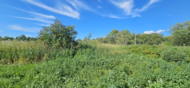 Купить земельный участок в Южно-Сахалинске. Вариант № 3199324, 3, площадь -  квм, цена 1800000 рублей