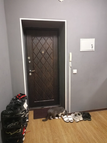 . Вариант № 1494487, 22, площадь - 46.6 квм, цена 7100000 рублей