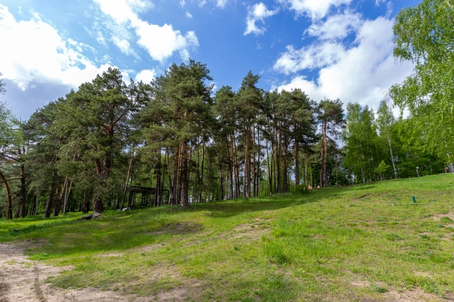 Снять дом в Владимирской области. Вариант № 42477, 45, площадь -  квм, цена 35000 рублей