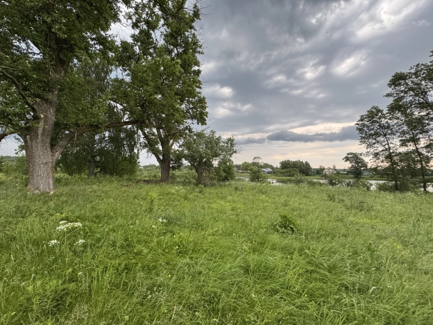 Купить земельный участок в Коврове. Вариант № 54106, 3, площадь -  квм, цена 3200000 рублей