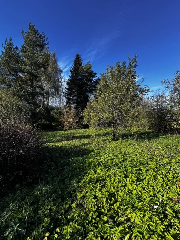 Купить дом в Ивановской области. Вариант № 6654767, 25, площадь -  квм, цена 800000 рублей