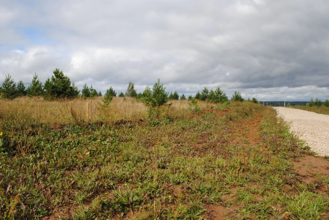 . Вариант № 1569, 2, площадь -  квм, цена 1326000 рублей