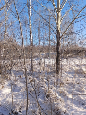 Купить земельный участок на улице Гумбольдта в Тобольске. Вариант № 13015, 1, площадь -  квм, цена 2000000 рублей