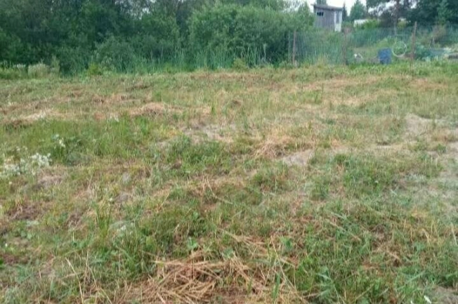 Купить земельный участок в Новгородской области. Вариант № 60966, 6, площадь -  квм, цена 1500000 рублей