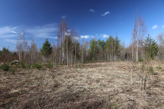 Купить земельный участок в Санкт-Петербурге. Вариант № 2129825, 11, площадь -  квм, цена 2300000 рублей