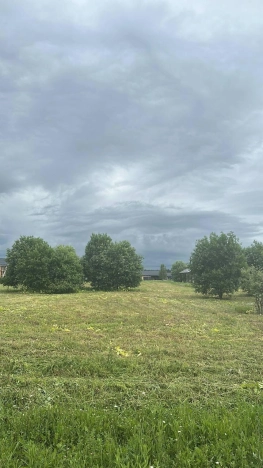 Купить земельный участок в Тверской области. Вариант № 52843, 0, площадь -  квм, цена 6800000 рублей