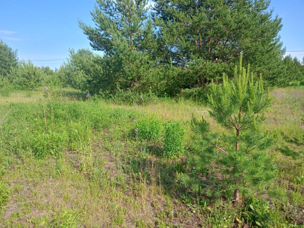 . Вариант № 13279, 1, площадь -  квм, цена 1122300 рублей