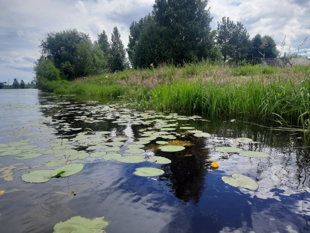 Купить дом на улице Стрелковый проезд в Петрозаводске. Вариант № 13323, 21, площадь -  квм, цена 5500000 рублей