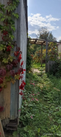 Купить земельный участок в Тобольске. Вариант № 3415258, 1, площадь -  квм, цена 400000 рублей