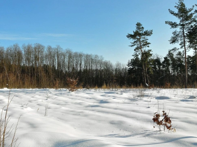 . Вариант № 24327, 2, площадь -  квм, цена 4000000 рублей