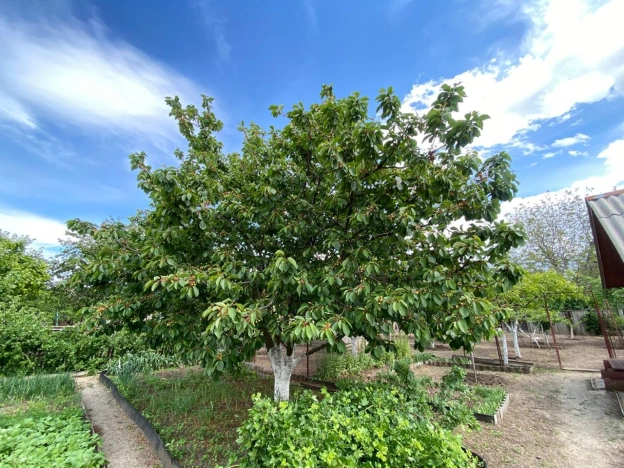 Купить дом в Краснодарском крае. Вариант № 9869695, 10, площадь -  квм, цена 9500000 рублей