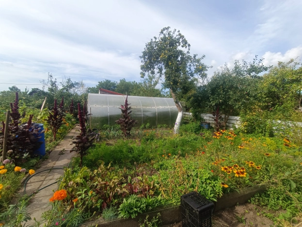 Купить дачу в Калининграде. Вариант № 9897081, 8, площадь -  квм, цена 1700000 рублей