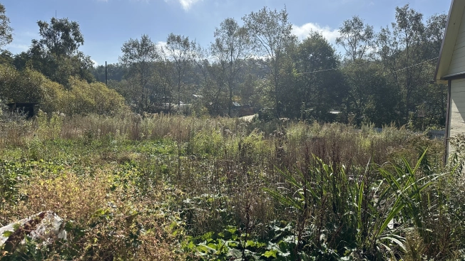 Купить земельный участок в Южно-Сахалинске. Вариант № 6296530, 4, площадь -  квм, цена 1950000 рублей