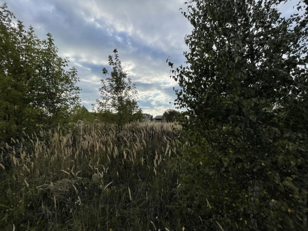 Купить земельный участок у метро Двигатель Революции в Нижнем Новгороде. Вариант № 3815539, 6, площадь - квм, цена 6193000 рублей