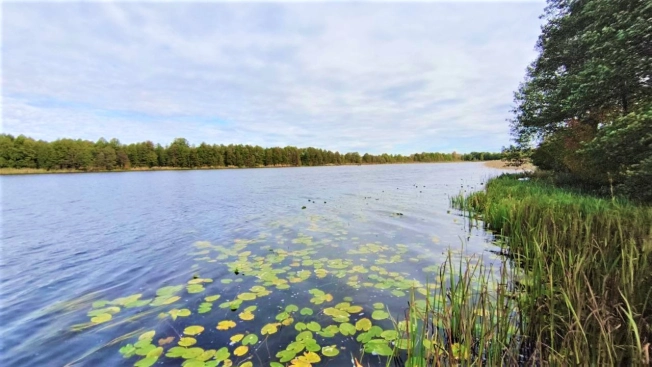 Купить земельный участок в Коврове. Вариант № 7637042, 7, площадь -  квм, цена 330000 рублей