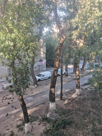 Купить трехкомнатную квартиру в Ростовской области. Вариант № 3946773, 5, площадь -  квм, цена 6200000 рублей